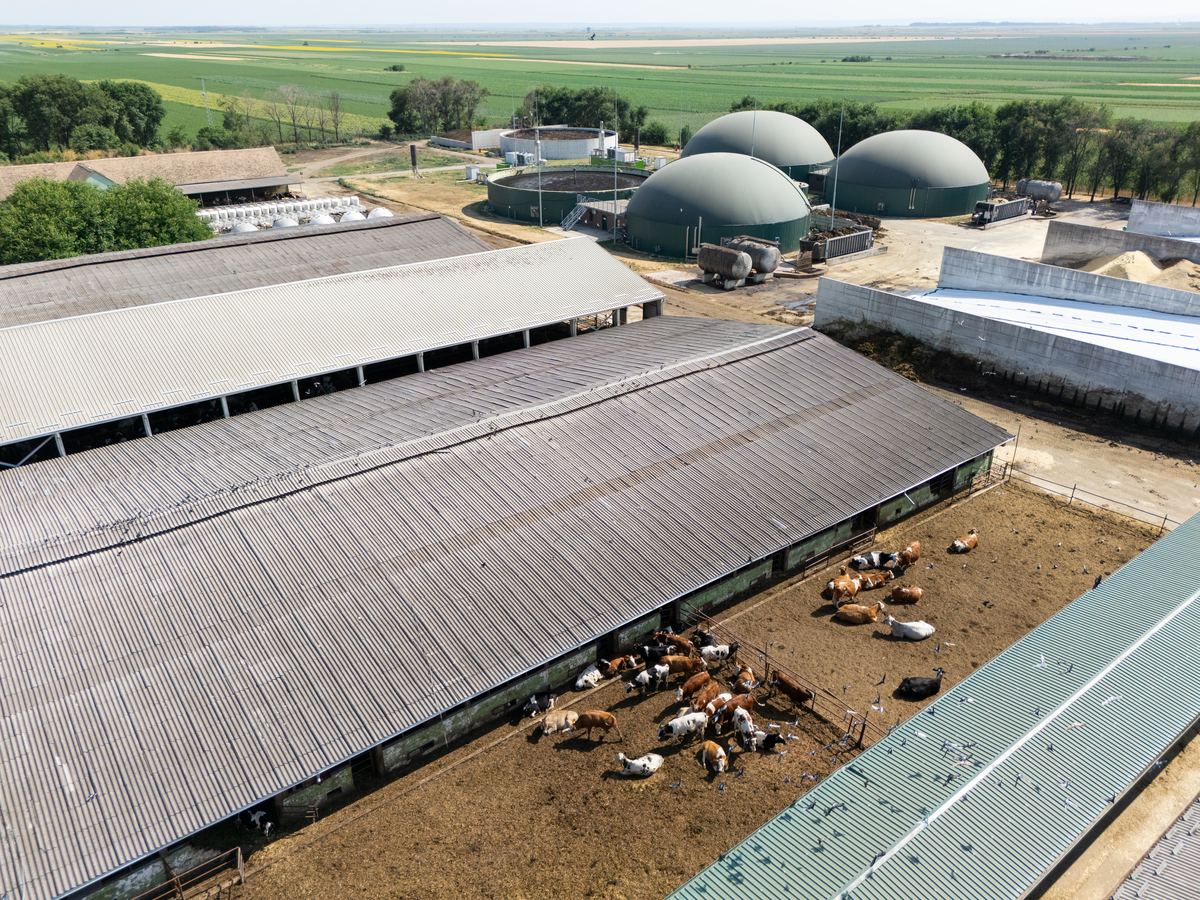 Barns and livestock pens at an agricultural farm property