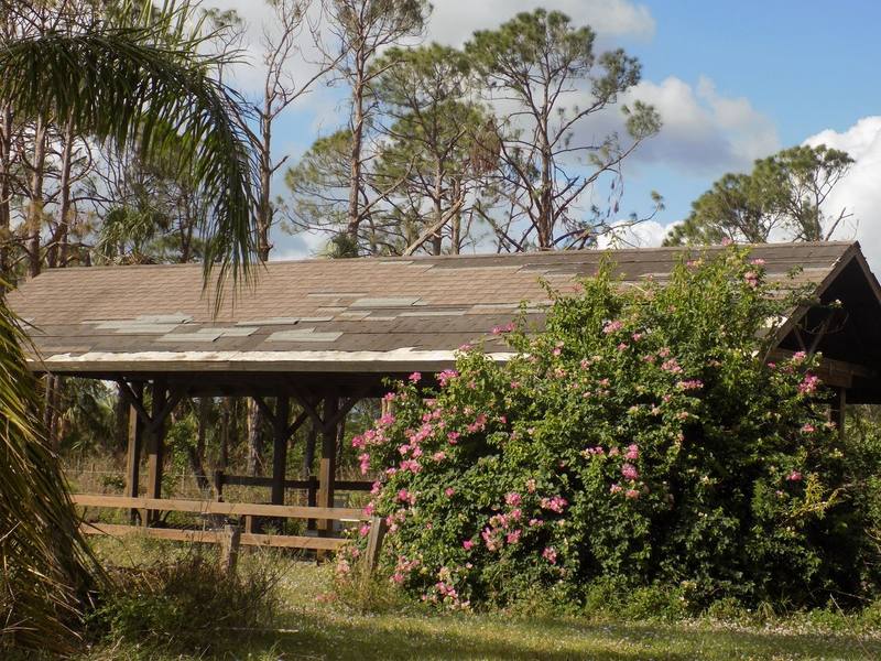 Open-sided barn with visible storm damage on a Florida or New Jersey farm property