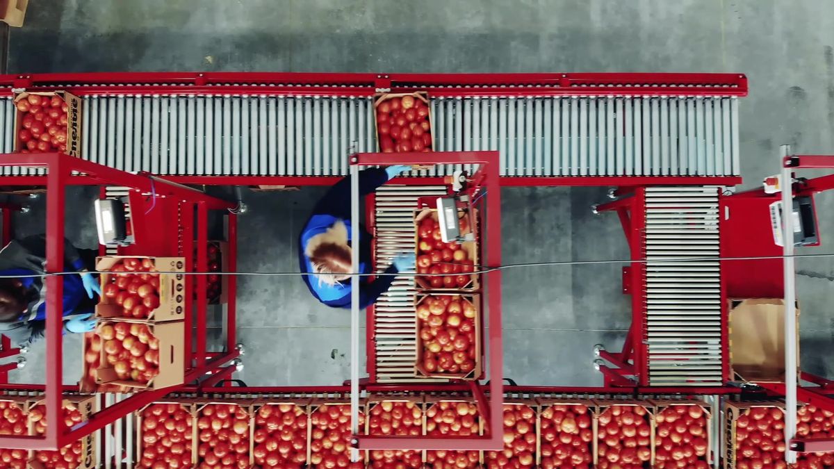 Produce packing facility on an agricultural property