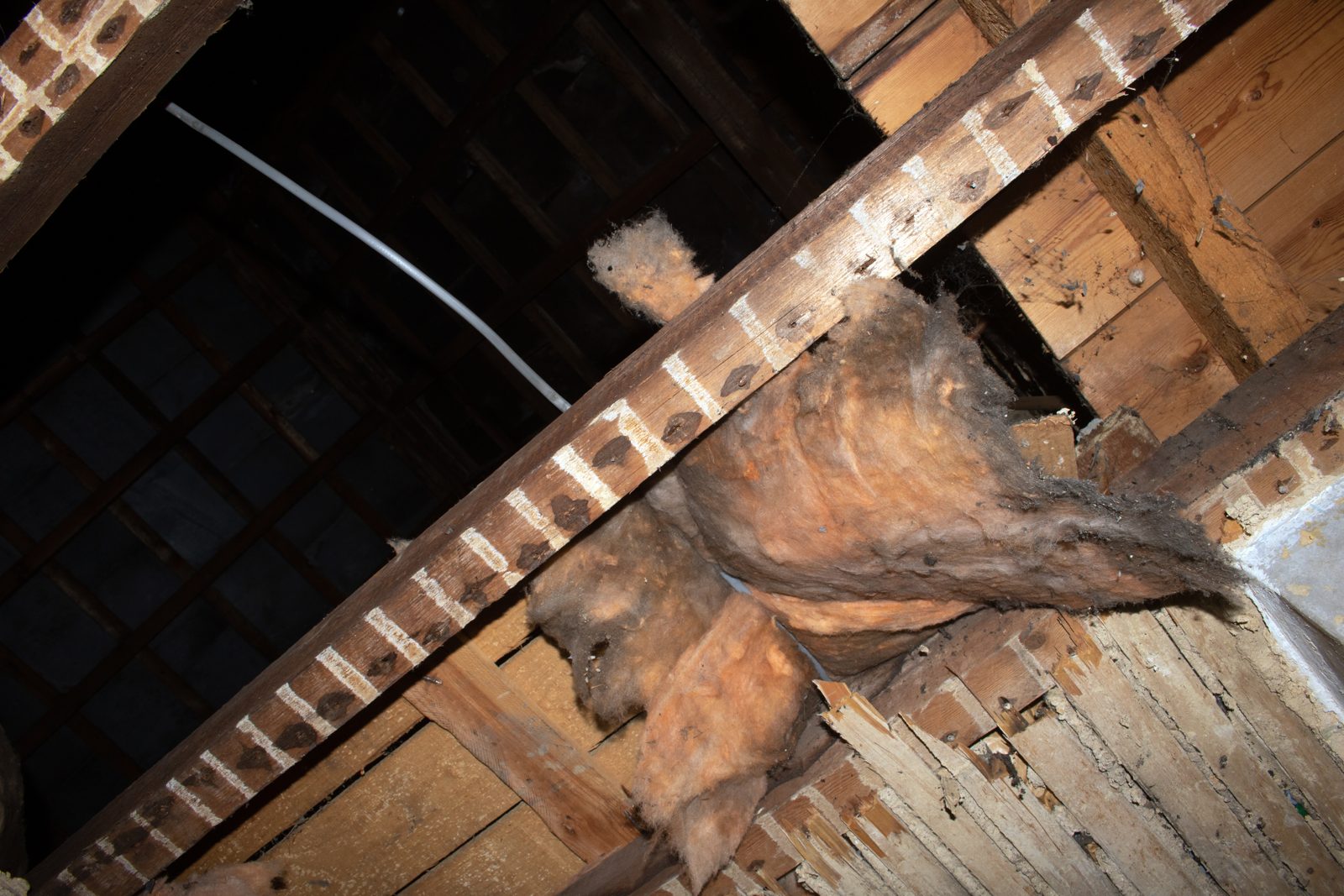 Animal nest and chewed insulation in attic framing