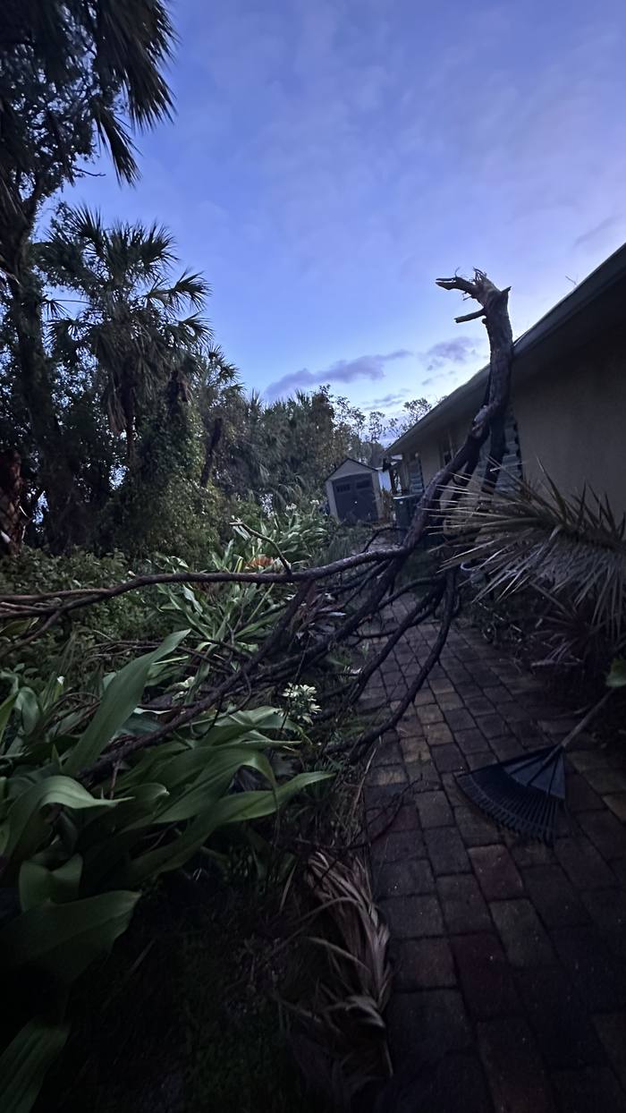 Fallen tree damage along a neighbor's property line