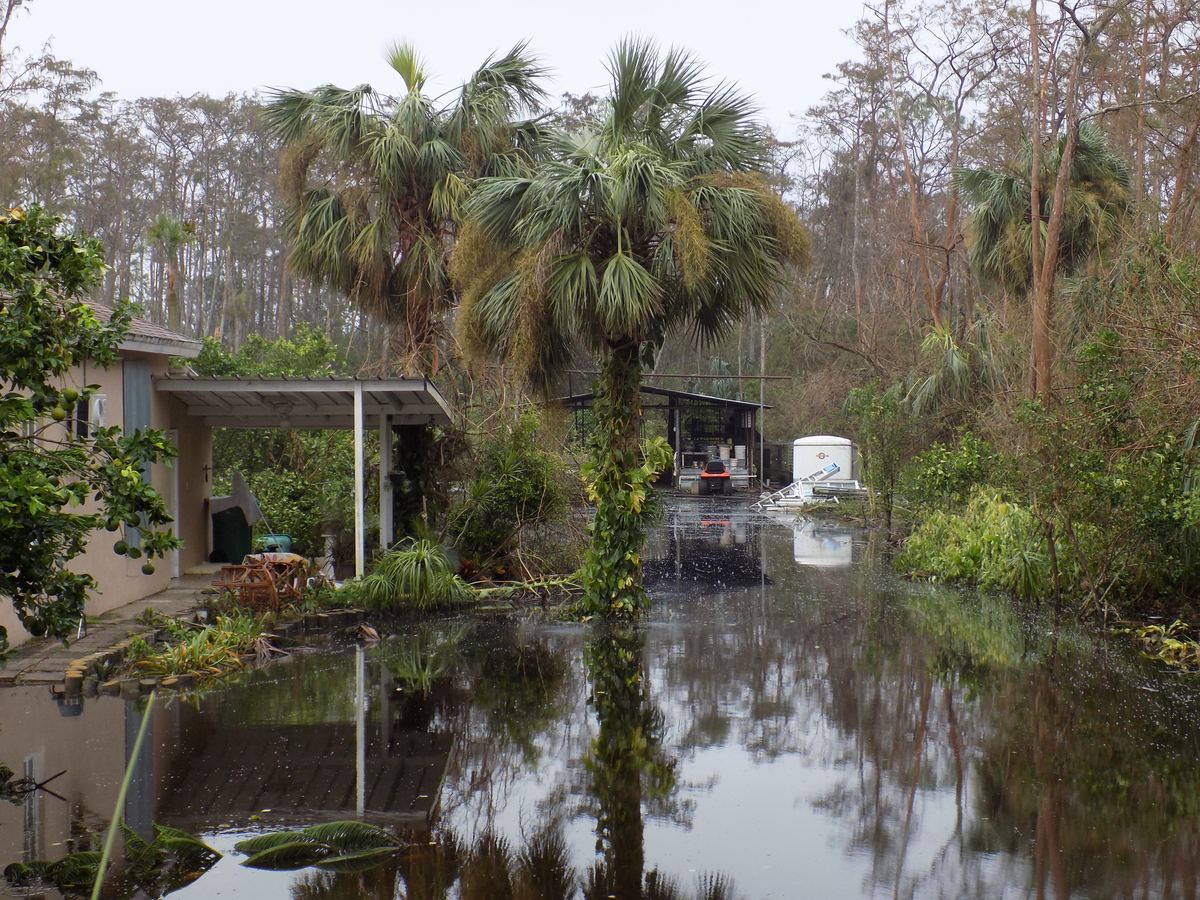 Standing floodwater around a property after heavy rain in Estero, FL