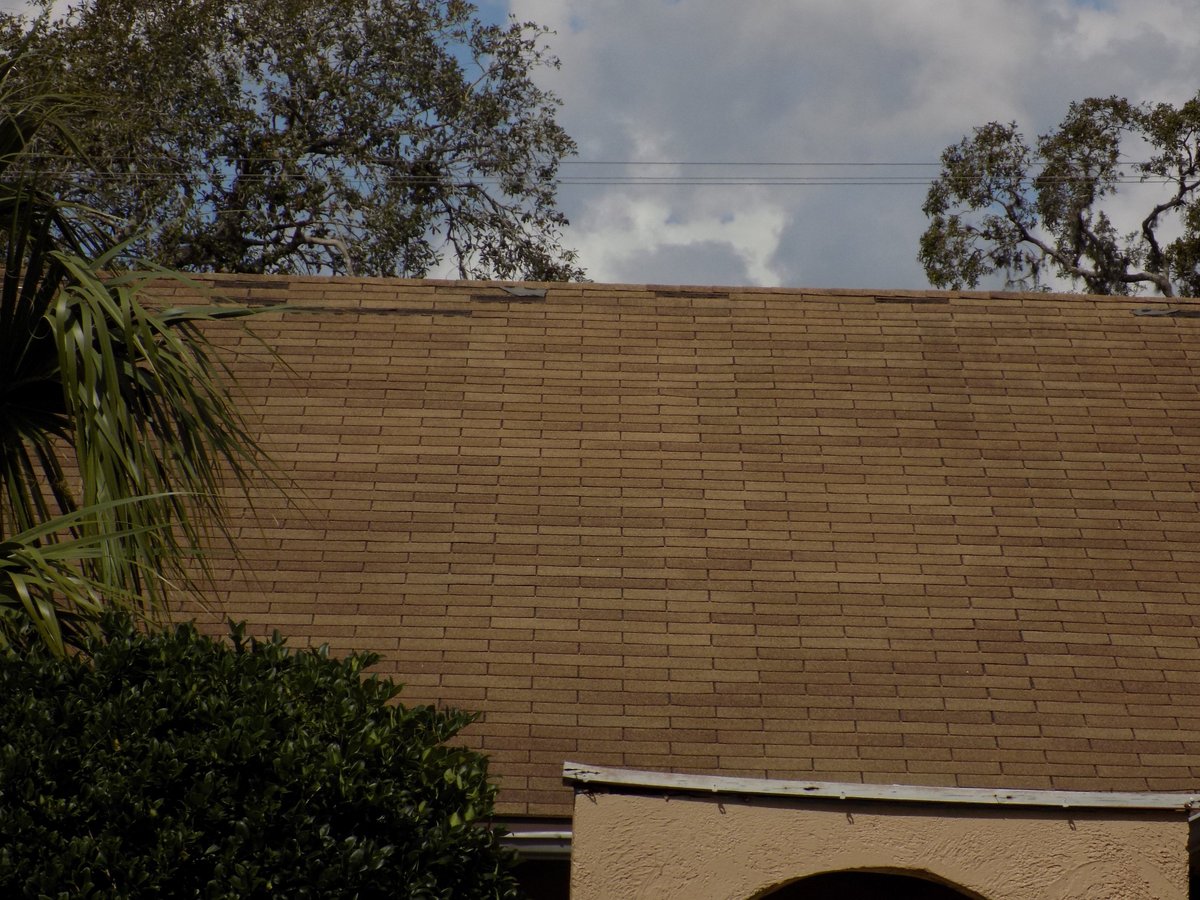 Lifted and curled shingles on a hurricane-damaged roof — the kind of claim Homeland handles for Sebring, FL property owners