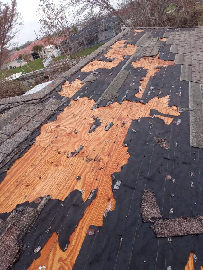Shingles stripped from a roof by hurricane winds — the kind of claim Homeland handles for St Petersburg, FL property owners