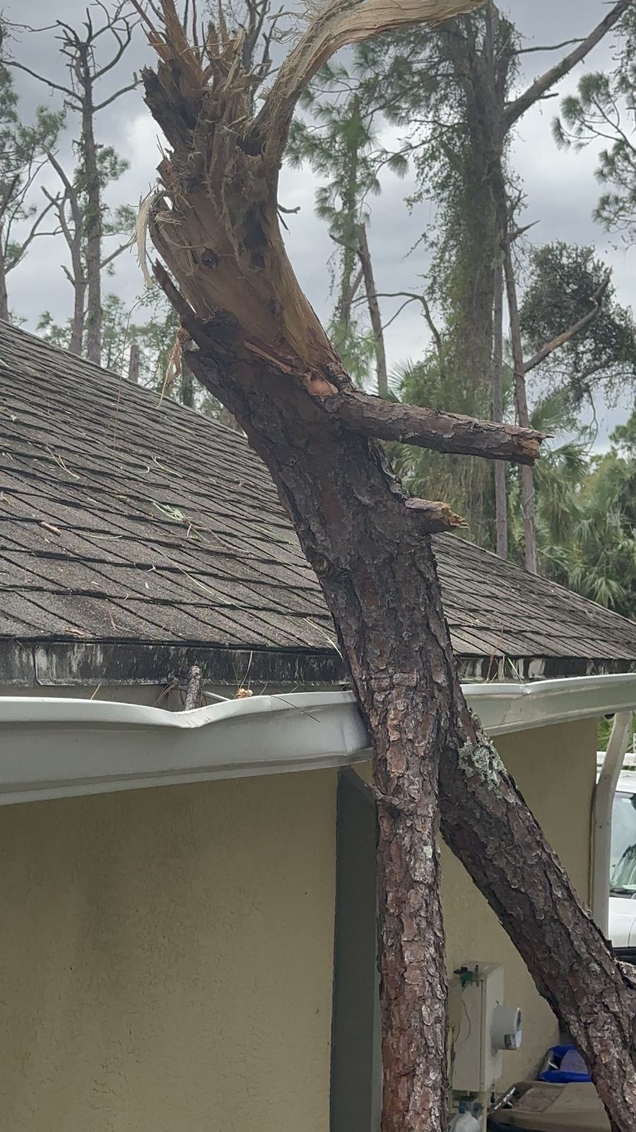 Fallen tree branch on a roof and gutter after hurricane wind damage in Palm Beach, FL