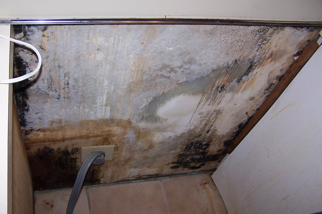 A mold-stained ceiling corner, the kind of covered water loss that can trigger limited mold coverage