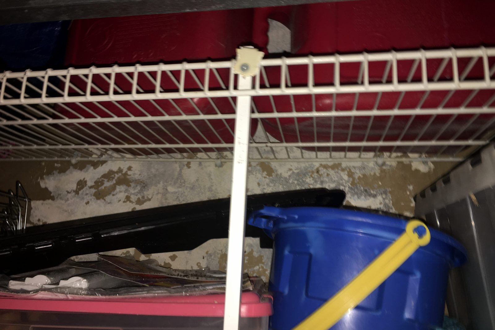 Moho creciendo en la pared de un clóset detrás de estantes de alambre y cajas de almacenamiento