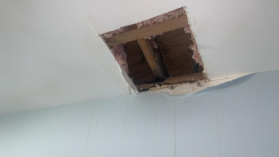 Ceiling cut open to exposed insulation and framing at a home in Lakeland, FL