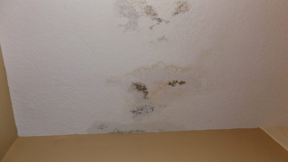Water-stained ceiling with visible mold growth after a leak in a Miami Beach home