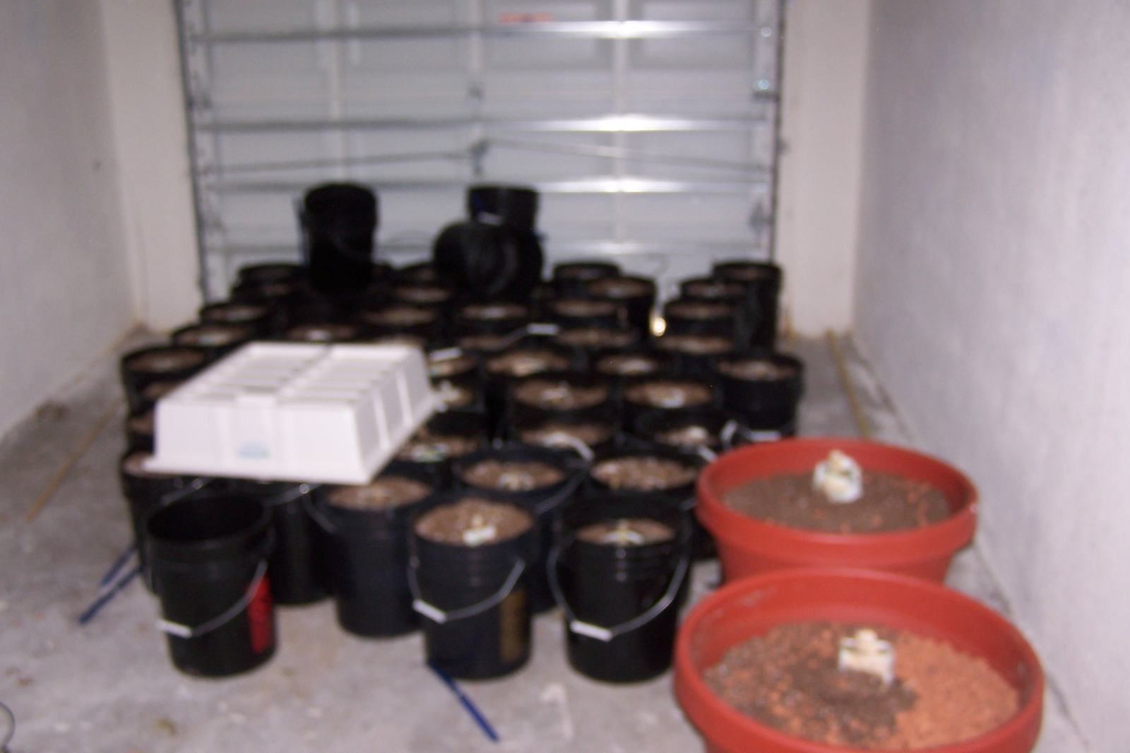 Buckets and containers from an unauthorized indoor growing operation inside a rental unit