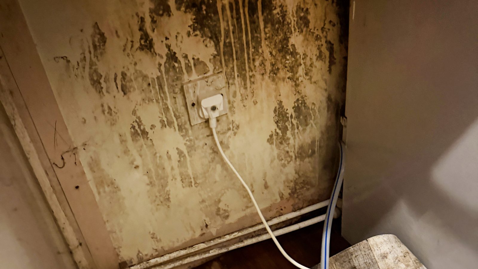 Mold and corrosion behind a washing machine from a leaking supply line