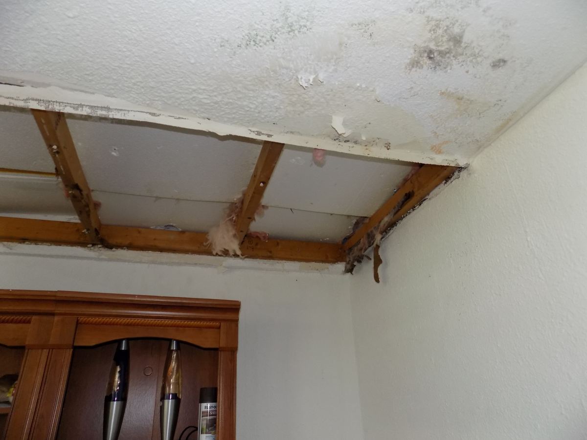 Water-damaged garage ceiling at a home in Sarasota, FL