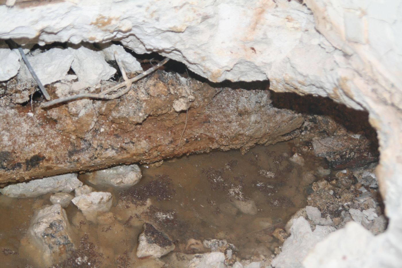 Water-damaged baseboard and tile flooring from a leak — the kind of claim Homeland documents for Broward County, FL property owners