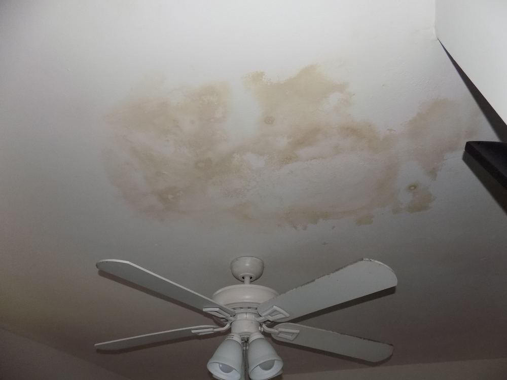 Water-stained ceiling around a light fixture from a leak at a home in Elizabeth, NJ