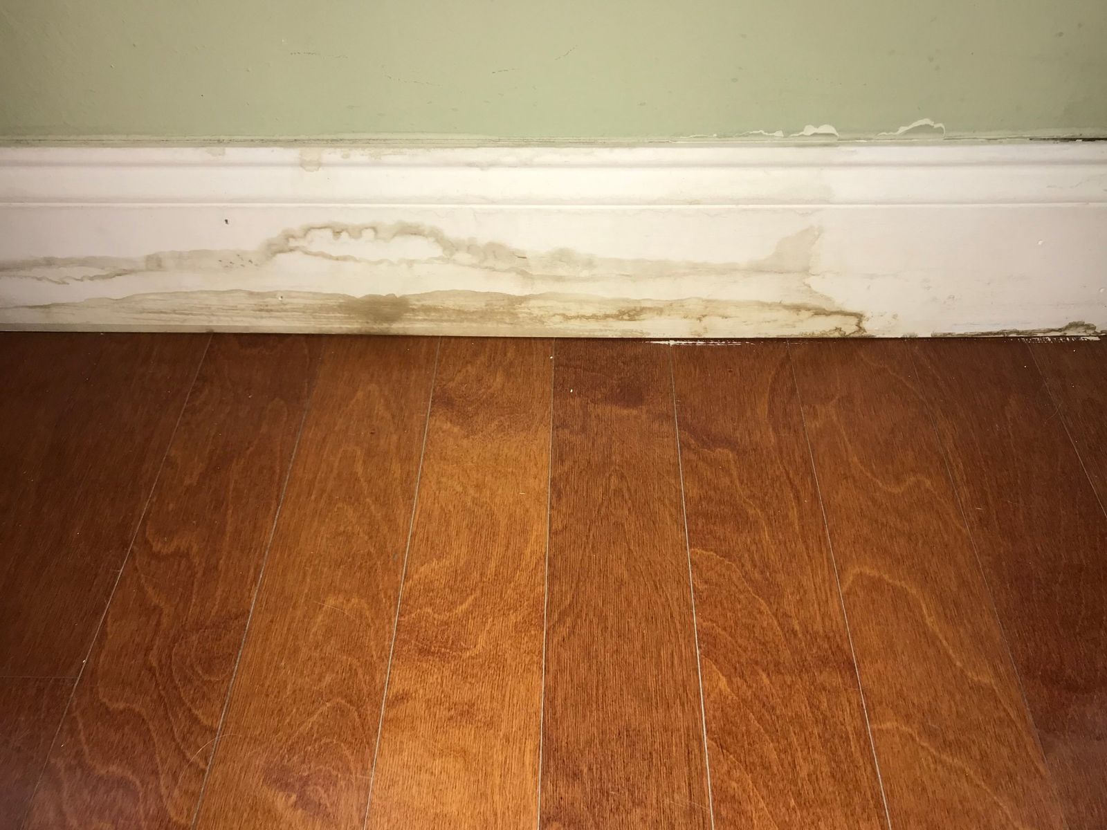 Water-stained baseboard and peeling wall paint from a slow water leak above a wood floor — the kind of claim Homeland handles for Hallandale Beach, FL property owners