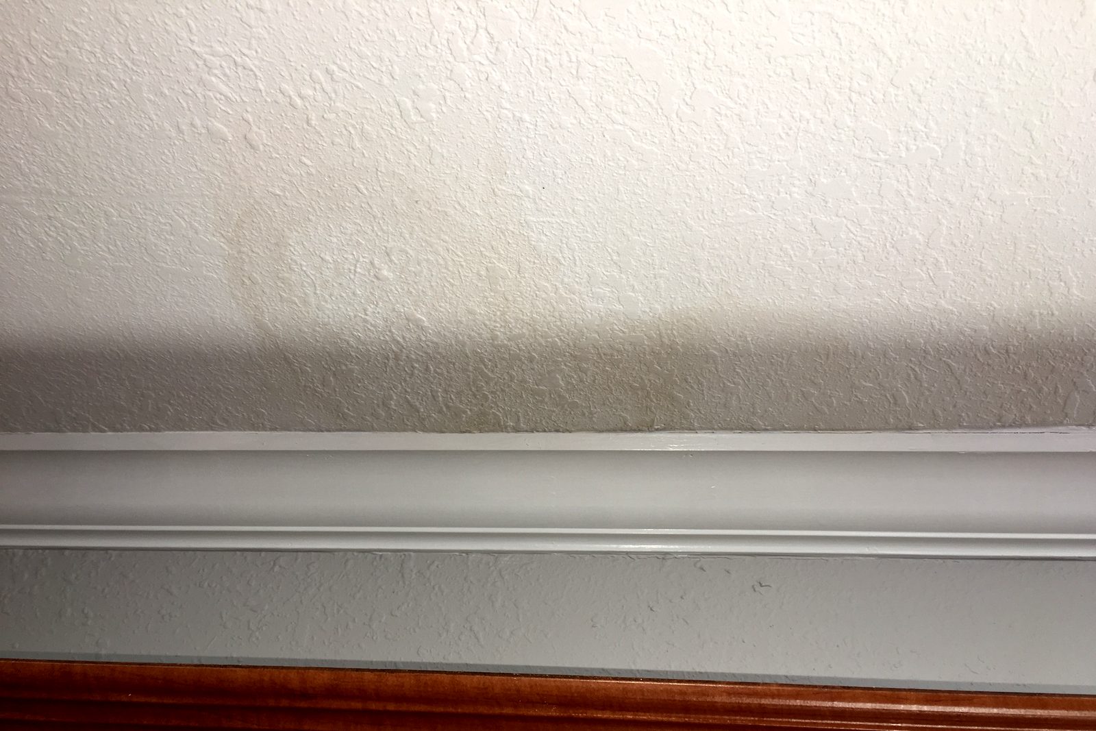 Brown water stain ring on a textured ceiling above crown molding