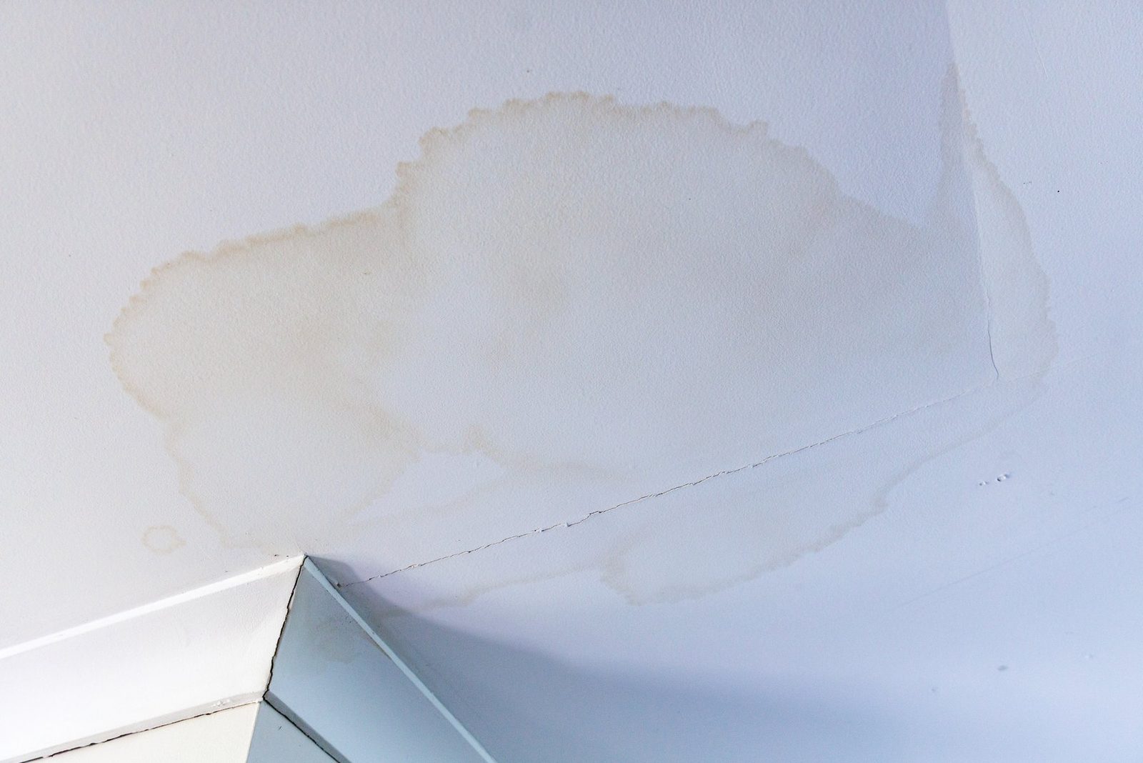 Water stains spreading across a white ceiling from a leak