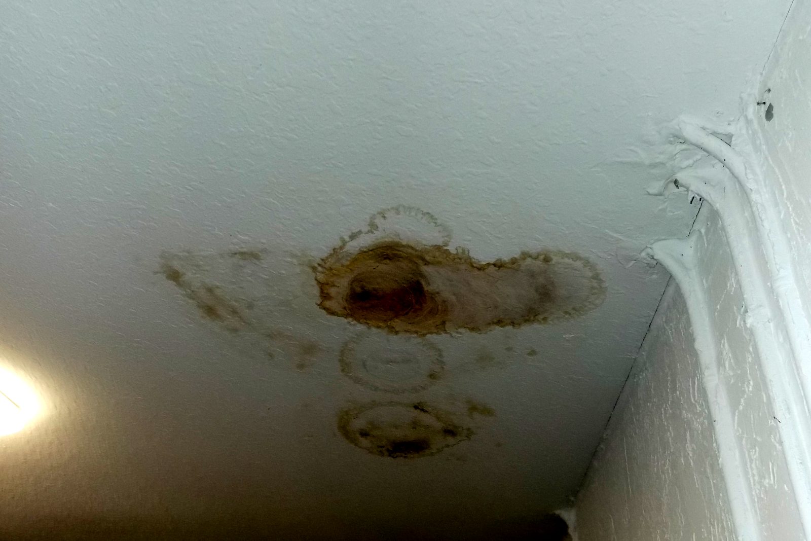 Manchas de agua color marrón en un techo texturizado de una casa en Florida