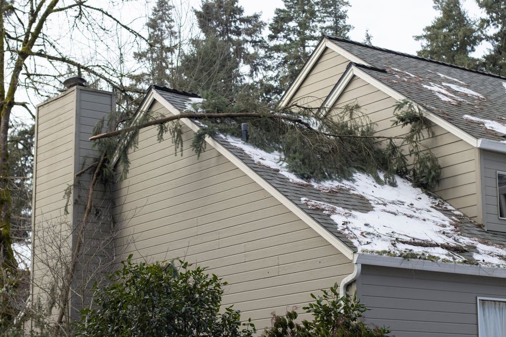 Fallen tree limb across a snow-covered roof after a winter storm