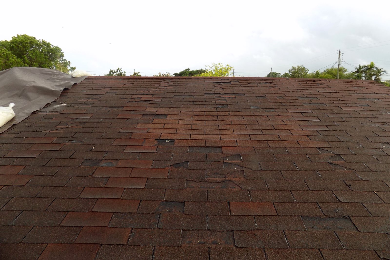 Shingle roof with missing shingles and a tarp at the edge