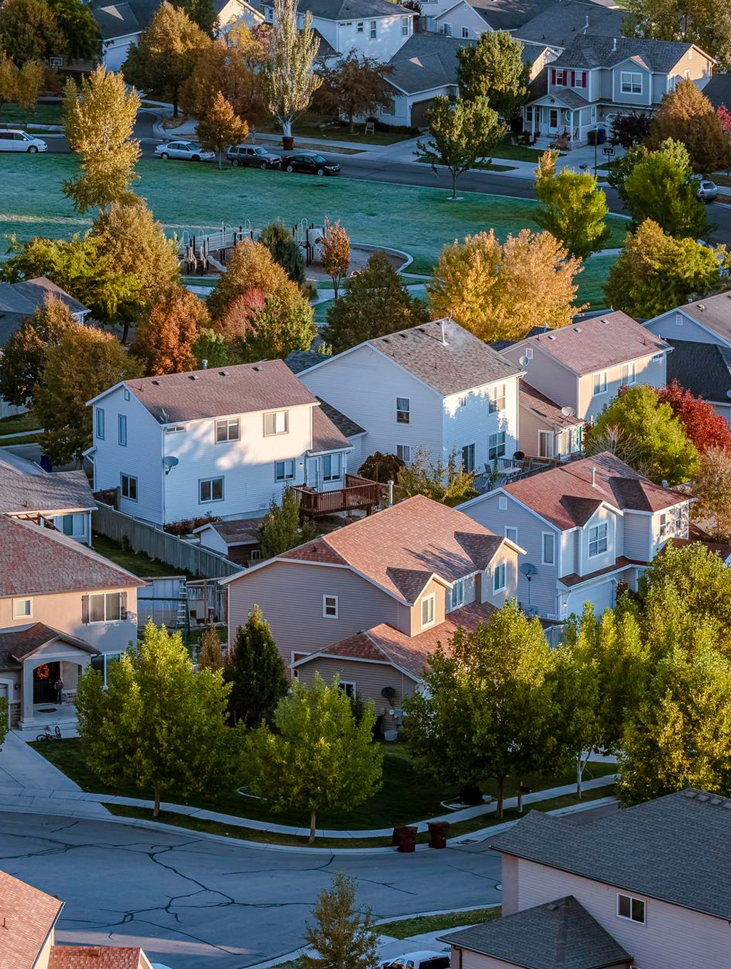 hoa